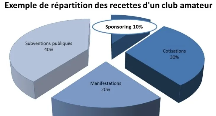Comment Est Structuré Le Budget D'un Club De Foot.