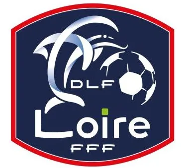 district de la loire