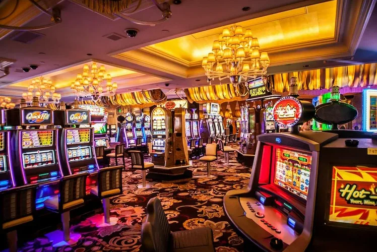 Explorer les Casinos
